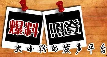 最新的新闻爆料,最新爆料揭示重大事件内幕